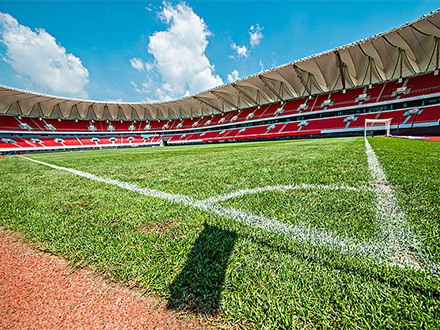 案例展示三(图1) 案例展示三(图1)